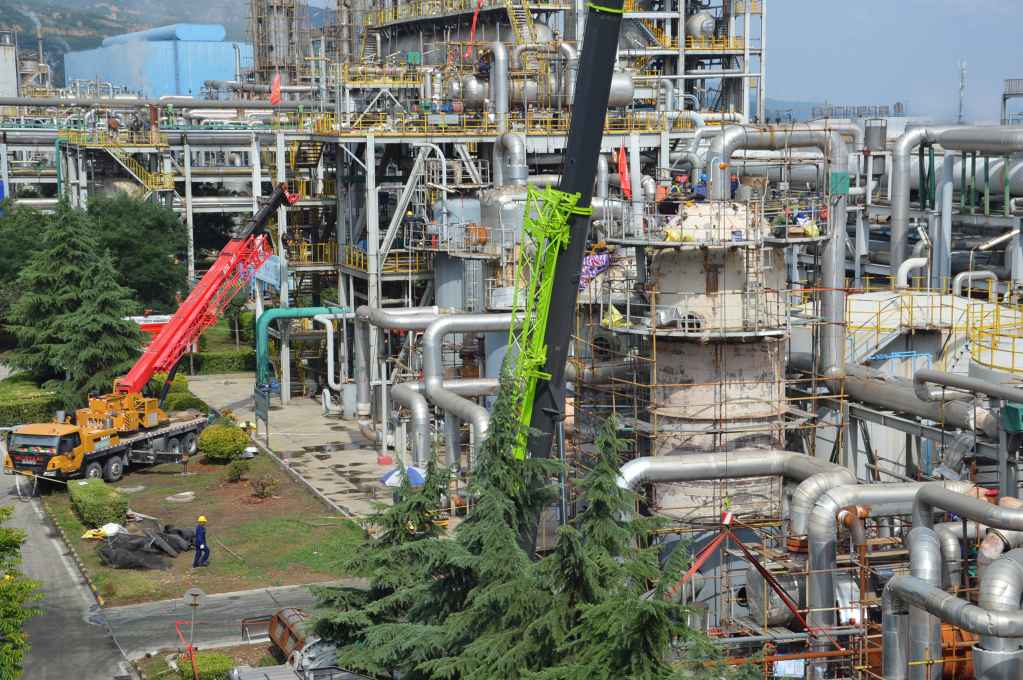 1656985031925813.jpeg 1656985031925813.jpeg