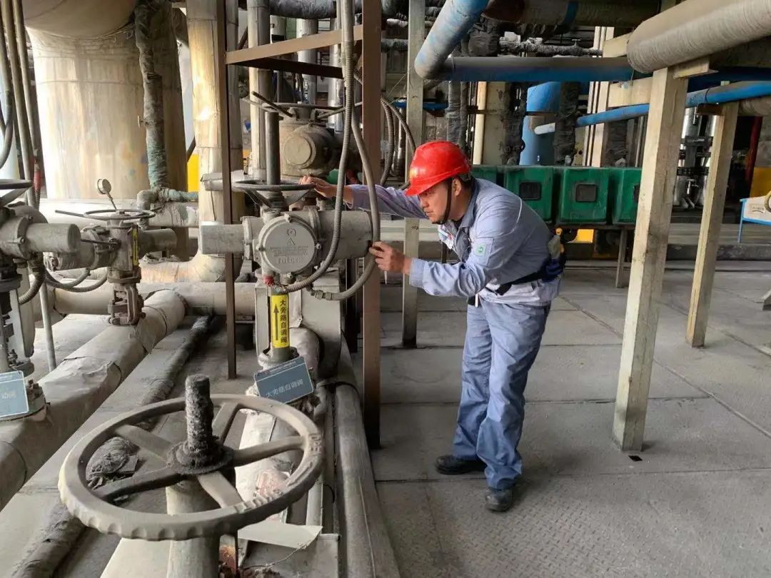 1660097800864274.jpeg 1660097800864274.jpeg