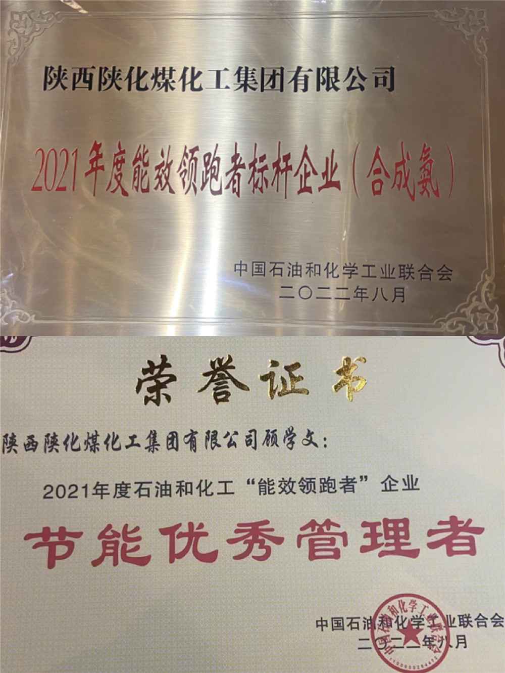 1661941589804666.jpeg 1661941589804666.jpeg