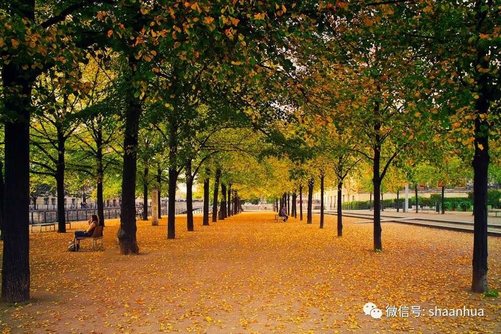 1665485947936874.jpeg 1665485947936874.jpeg