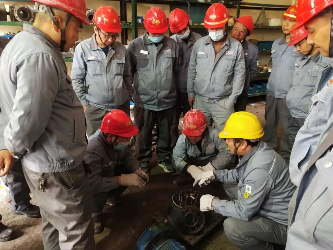 1680013576713898.jpeg 1680013576713898.jpeg